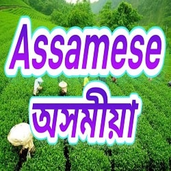 Akashvani Assamese Fm Radio listen online - Assamese 1035 Fm Radio live
