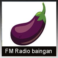 FM Radio Baingan - Rajasthan online FM Radio Baingan
