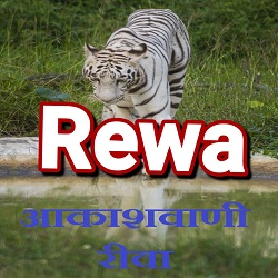 Rewa Akashvani Fm Radio Listen Online - Rewa Fm Radio Live